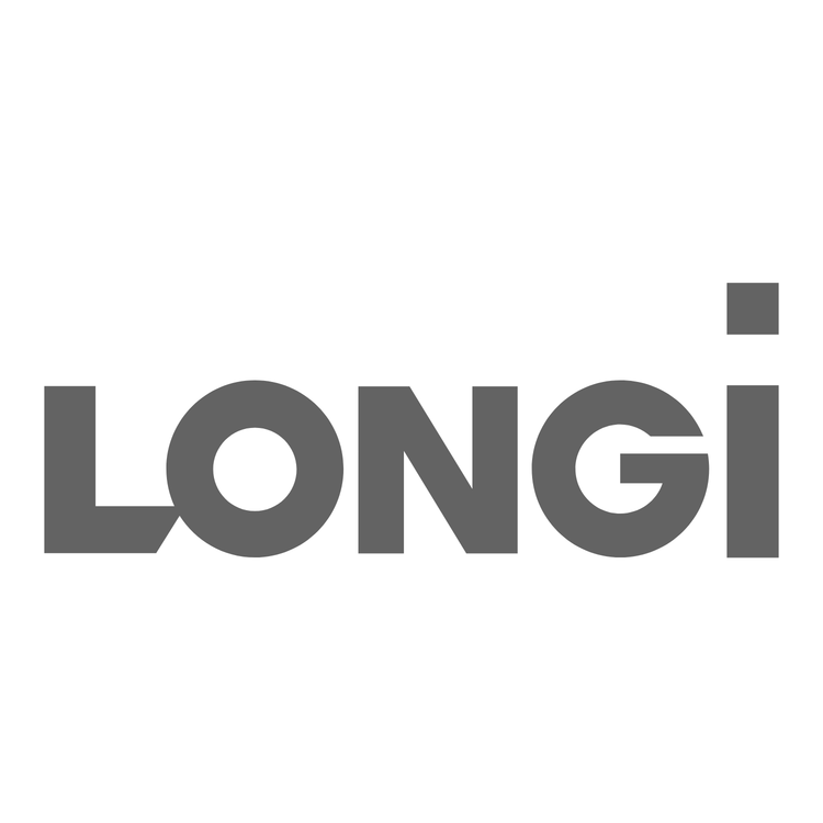 LONGi Solar Panels